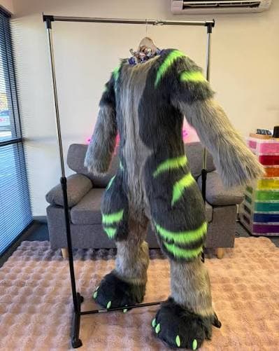 Reference image showing a complete custom animal character direction