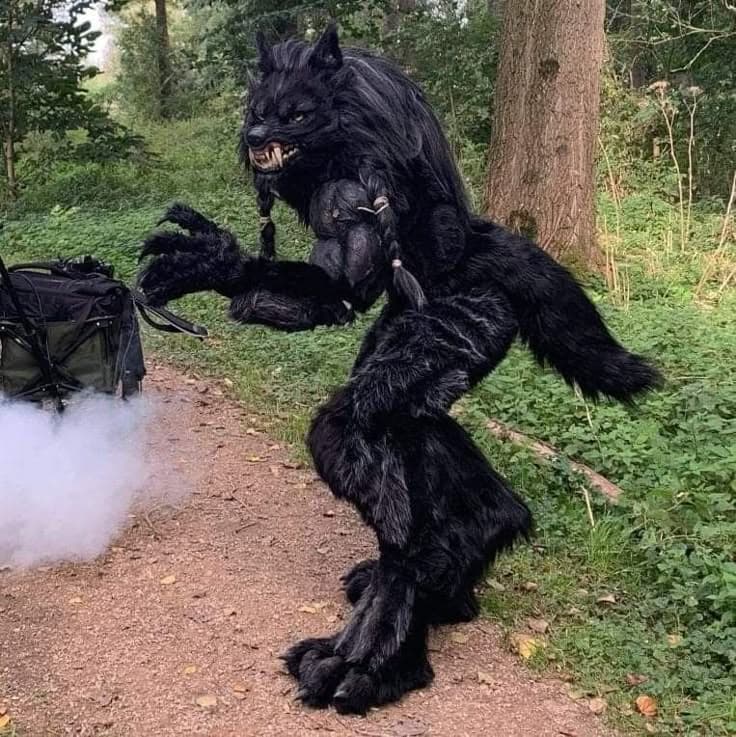 Full animal character build direction